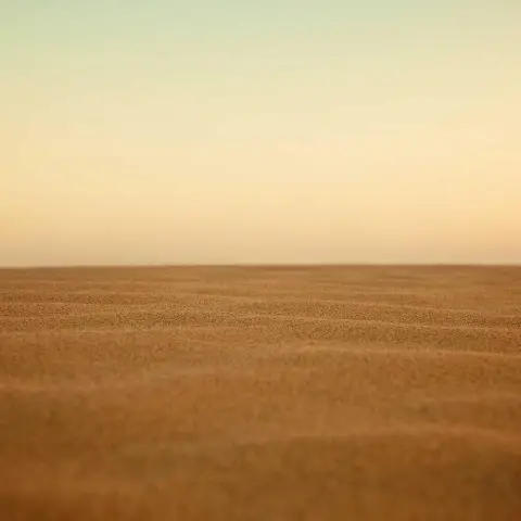 صورة 2